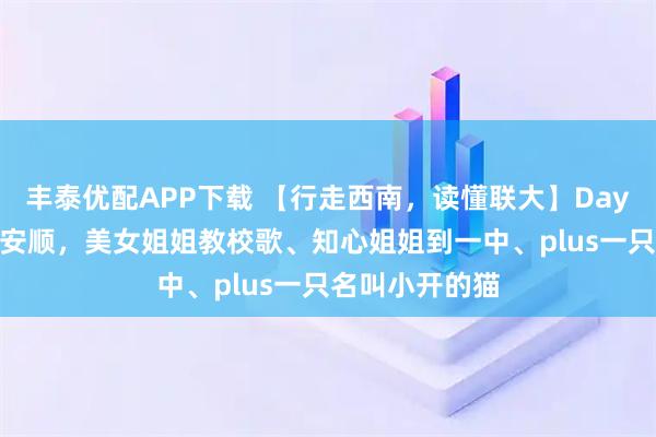丰泰优配APP下载 【行走西南,读懂联大】Day 4:从黄平到安顺,美女姐姐教校歌、知心姐姐到一中、plus一只名叫小开的猫